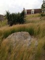 /album/galerie-de-photos-photos/img-0244-jpg/